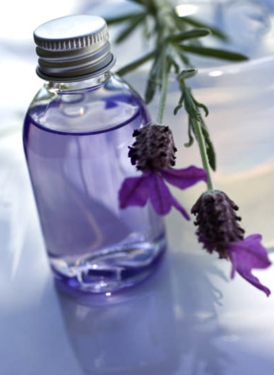 Lavender stems and a serum bottle on a beige plinth